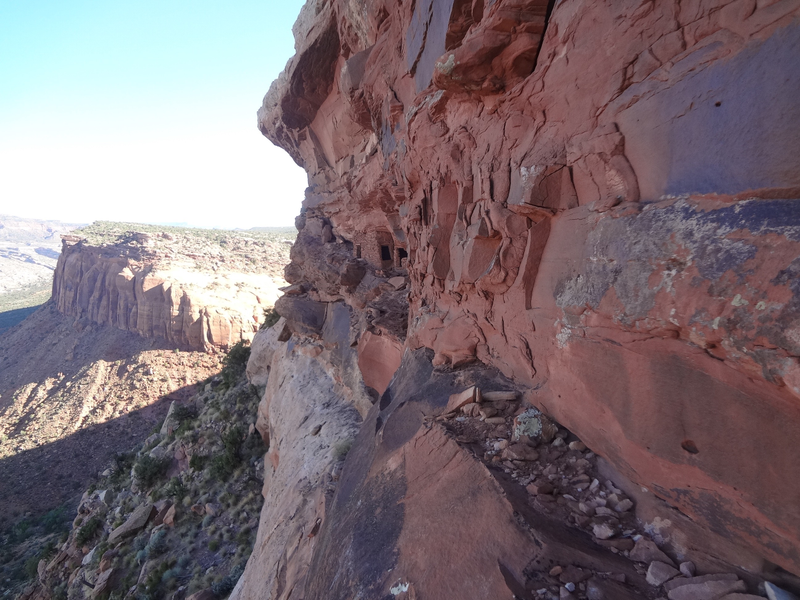 Ancestral Pueblo ruins built into a steep cliffside in the Bears Ears region.